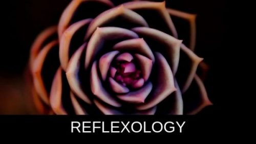 The Place To Stay, Frome, Somerset family Accommodation ~ Bodhi Tree, Beauty & Massage Centre- reflexology The Place To Stay, Frome, Somerset family Accommodation ~ Bodhi Tree, Beauty & Massage Centre- reflexology