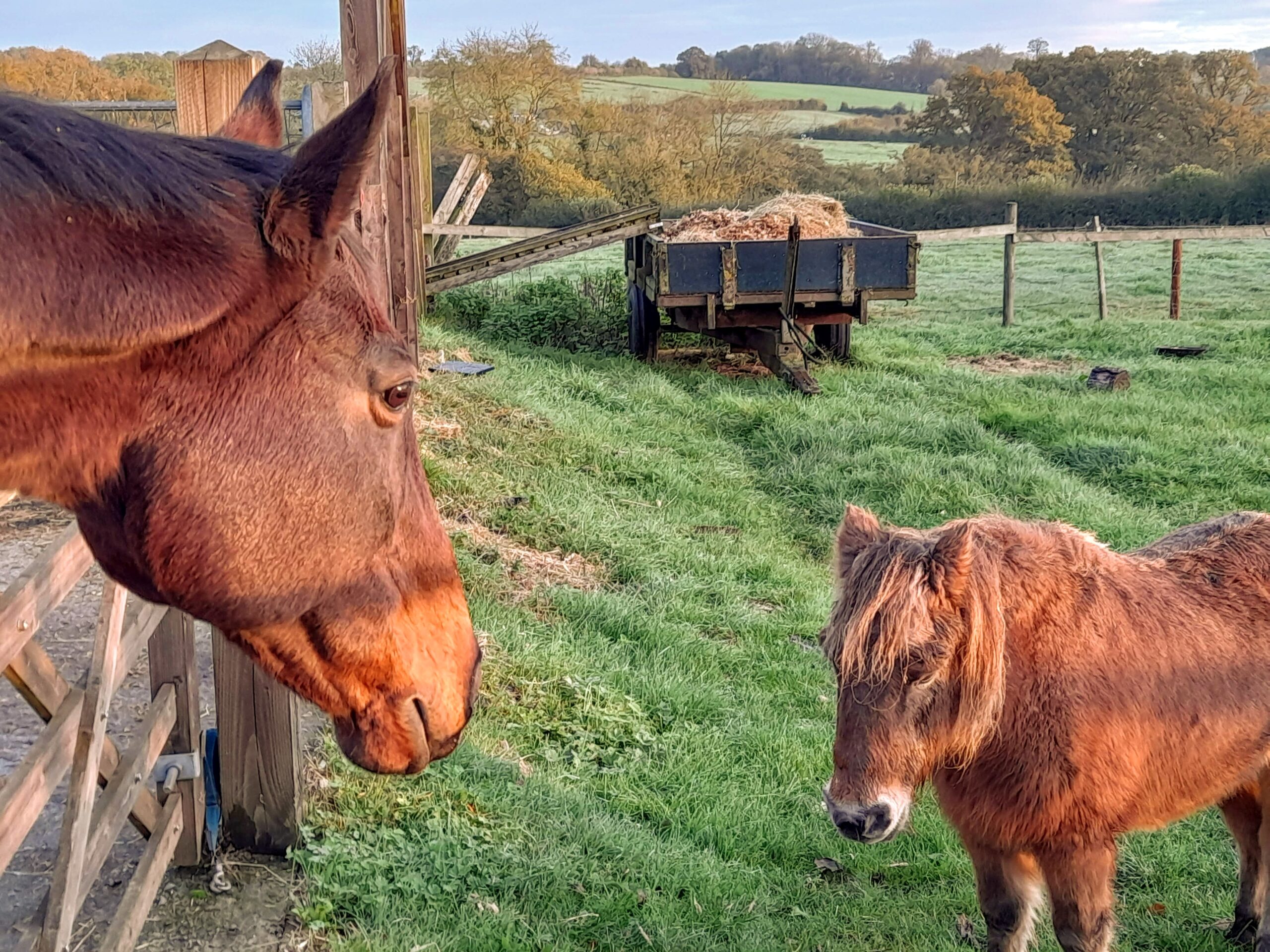 The Place To Stay, Knoll Hill Farm, Stylish Boutique Bed and Breakfast Guest House Accommodation For The Perfect Staycation & holiday.