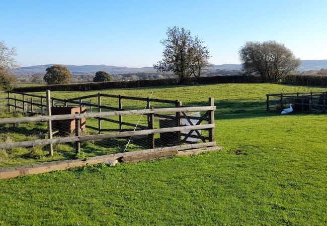 The Place To Stay, Knoll Hill Farm, Stylish Boutique Bed and Breakfast Guest House Accommodation For The Perfect Staycation & holiday. The Place To Stay, Knoll Hill Farm, Stylish Boutique Bed and Breakfast Guest House Accommodation For The Perfect Staycation & holiday.