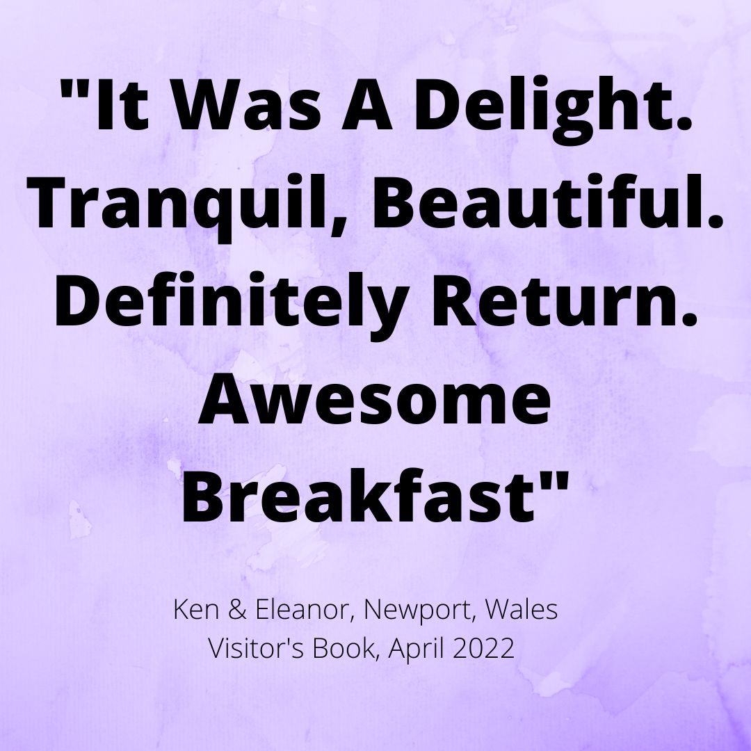 See What Our Guests Are Saying!
